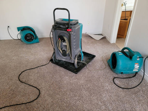Best Water damage contractors near me  in Burlingame, CA