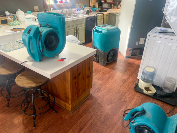 Best Residential water damage restoration  in Burlingame, CA