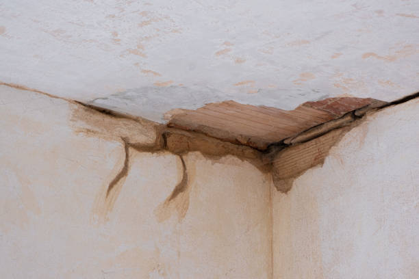 Best Commercial water damage restoration  in Burlingame, CA