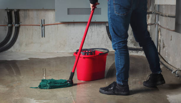 Best 24/7 water damage repair  in Burlingame, CA
