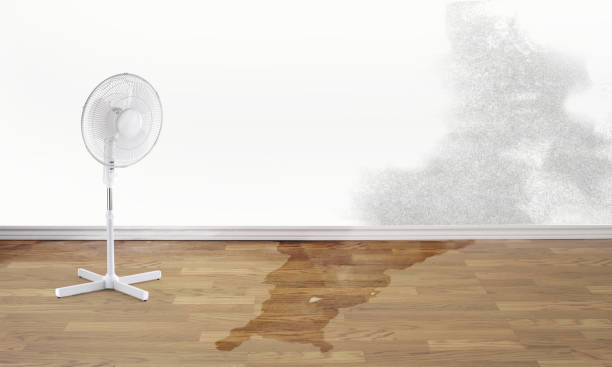 Best Local water damage restoration  in Burlingame, CA