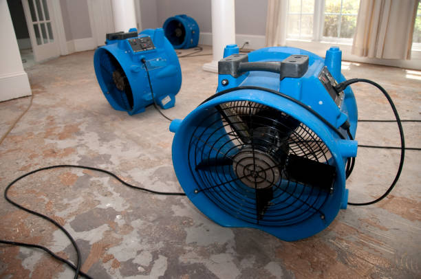 Best Water damage cleanup near me  in Burlingame, CA