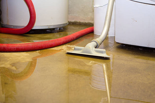 Best Flooded house restoration  in Burlingame, CA